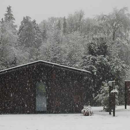 Killarneycabins Ie, Stunning Timber Accommodation For Adults Exterior photo