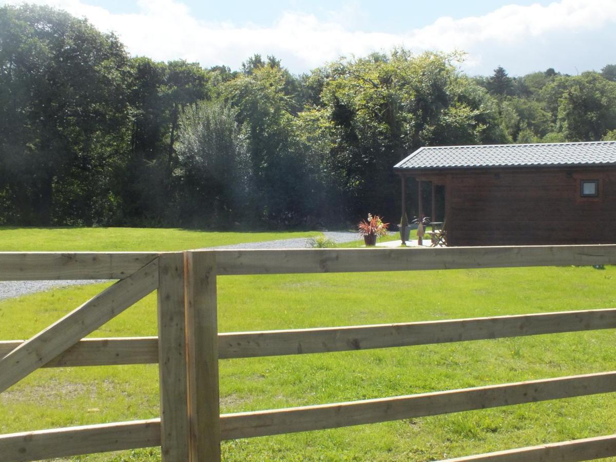 Killarneycabins Ie, Stunning Timber Accommodation For Adults Exterior photo