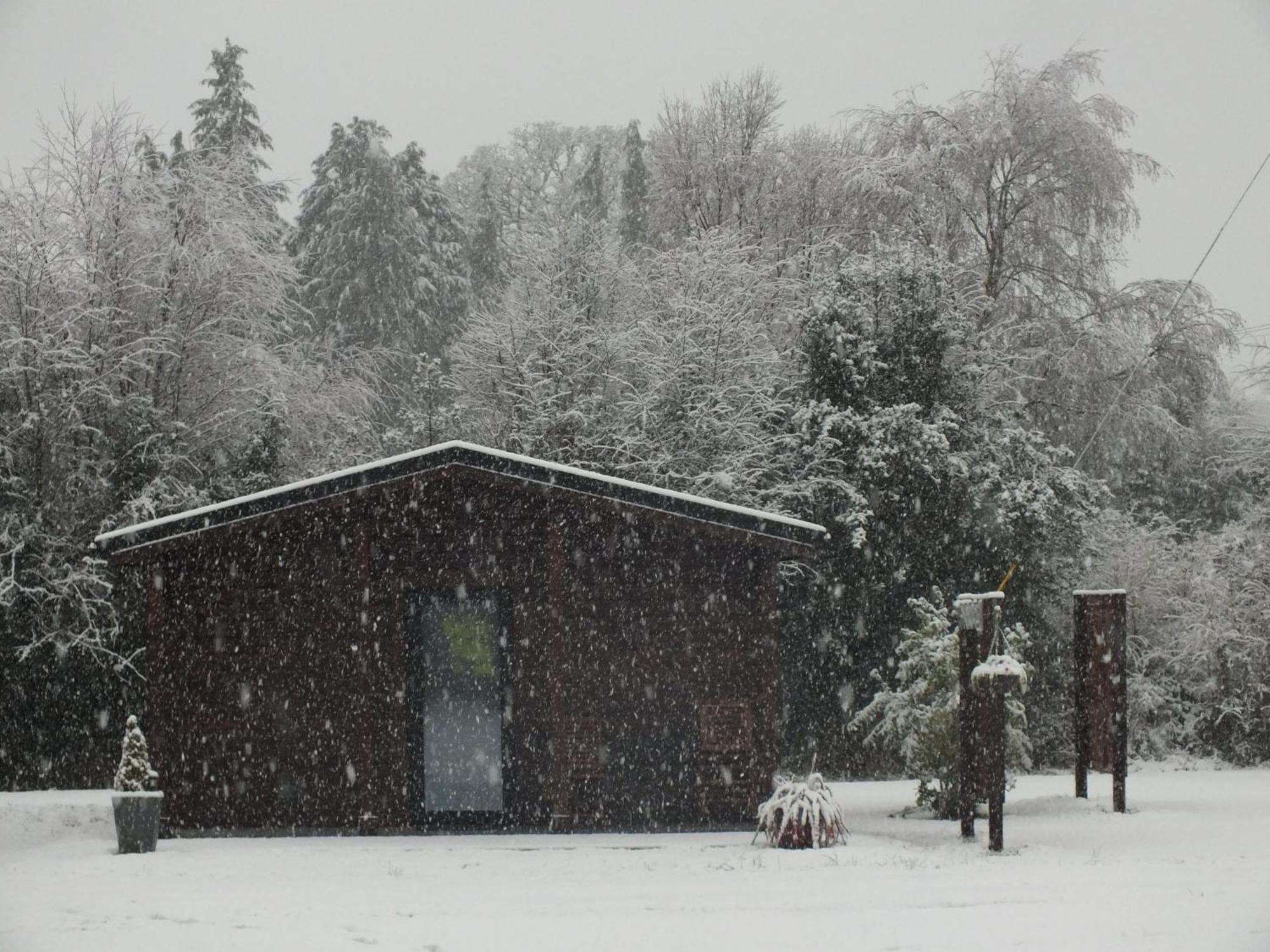 Killarneycabins Ie, Stunning Timber Accommodation For Adults Exterior photo
